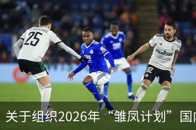 关于组织2026年“雏凤计划”国内选拔总营的通知