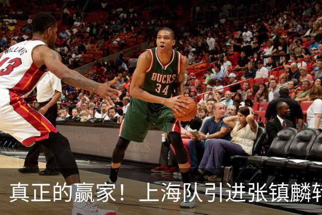 真正的赢家！上海队引进张镇麟转会费曝光，夺冠后总营收正式出炉